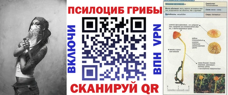 Купить закладки  Кологрив  Псилоцибиновые грибы прущие грибы 